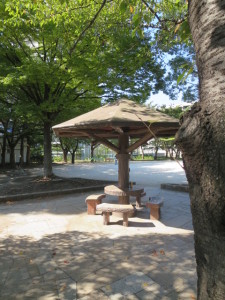 芝川公園きのこ