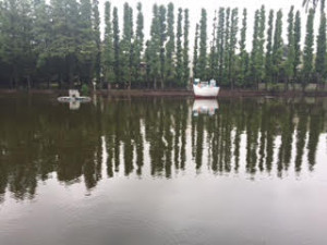 %e5%88%a5%e6%89%80%e6%b2%bc%ef%bc%92