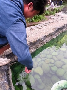 %e8%a5%bf%e3%81%ae%e6%b2%b3%e5%8e%9f%e5%85%ac%e5%9c%92-12