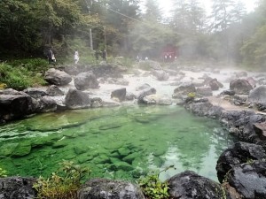 %e8%a5%bf%e3%81%ae%e6%b2%b3%e5%8e%9f%e5%85%ac%e5%9c%92-14