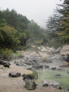 %e8%a5%bf%e3%81%ae%e6%b2%b3%e5%8e%9f%e5%85%ac%e5%9c%92-3