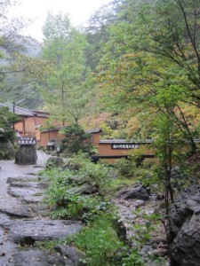 %e8%a5%bf%e3%81%ae%e6%b2%b3%e5%8e%9f%e5%85%ac%e5%9c%92-6