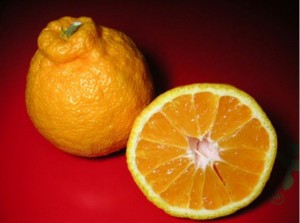 %e3%83%87%e3%82%b3%e3%83%9d%e3%83%b3%e3%81%8a%e3%82%8c%e3%82%93%e3%81%98