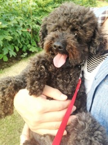 1754d6ae430e5909caee4b013ed3f3ae_s