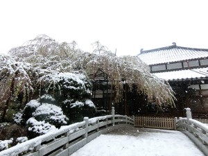 ぎょくぞういん (4)