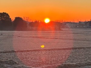 田園日の出