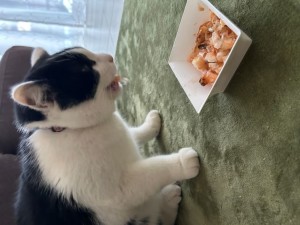 R6年2月日7日 (1)