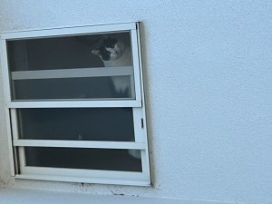 R6年2月日7日 (2)