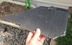 スクリーンショット 2025-04-12 123547