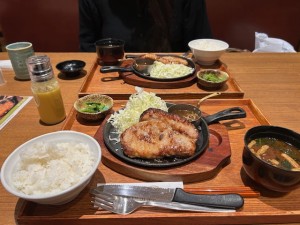 帰りの上里サービスエリア (3)