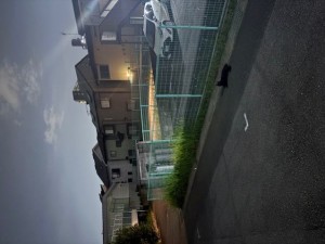 １７日クロスケ