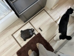 10日オスカルてんくう (1)