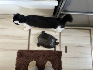 10日オスカルてんくう (2)